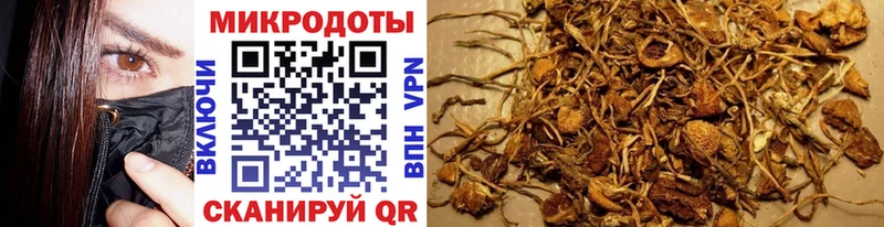 купить наркотики сайты  Щёкино  Псилоцибиновые грибы Psilocybine cubensis 